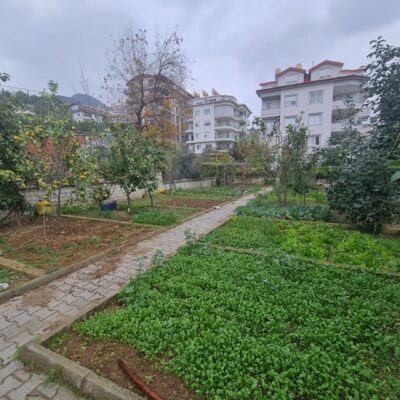 Cheap 3 Room Apartment For Sale In Alanya 4