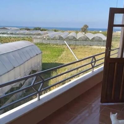 Nära havet Billiga 3-rumslägenheter till salu i Gazipasa Antalya 3