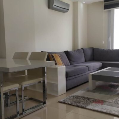 Cheap Furnished 2 Room Flat For Sale In Kestel Alanya 8